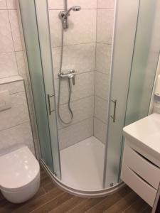 a bathroom with a shower stall and a toilet at Rooms & Pansion Odmor in Rovanjska