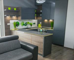 a kitchen with a sink and a counter with plants at Apartament w Cieplicach in Jelenia Góra