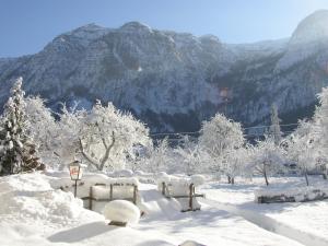 a snow covered park with a mountain in the background at Dormio Gasthof Höllwirt in Obertraun