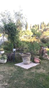 un groupe de plantes en pot dans une cour dans l'établissement Agriturismo Santu Marcialis, à Dolianova