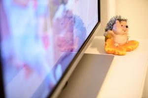 TV a/nebo společenská místnost v ubytování Apartmani Orhideja