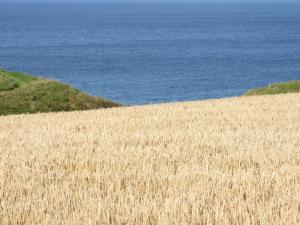 A beach at or near the apartment 