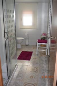a bathroom with a toilet and a glass shower door at Casa Rural Os Carballos in Pontevedra