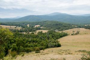 a view of a hill with trees and mountains at Chum Creek Hut in Chum Creek