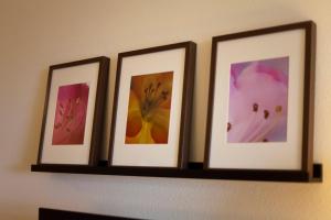 Fotografie z fotogalerie ubytování Inn at Wecoma v destinaci Lincoln City