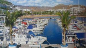 a group of boats docked in a marina with palm trees at Relax Bungalows in Maspalomas