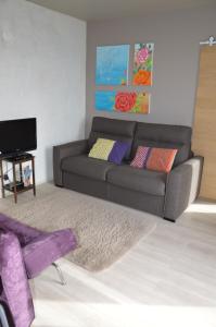 uma sala de estar com um sofá e uma televisão em Villa Rosemarie em Valdeblore