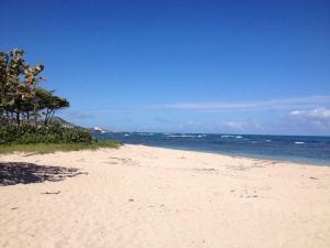 Imagen de la galería de Mar azul 401, en San Felipe de Puerto Plata