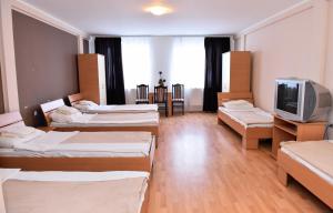 TV a/nebo společenská místnost v ubytování Hostel Milkaza