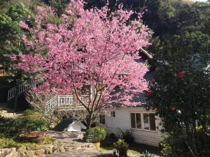 Un jardín fuera de 福緣山莊 桃園市民宿004號