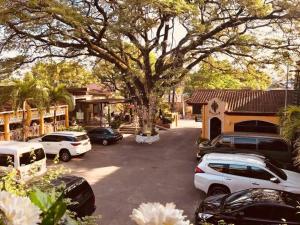 Fotografie z fotogalerie ubytování Asiaten Hotel v destinaci Tarlac