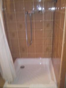 La salle de bains est pourvue d'une douche et d'une baignoire blanche. dans l'établissement Hôtel de Genève, à Lourdes