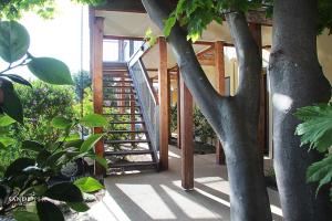 a staircase leading up to a house with a tree at Sandpiper Motel Apollo Bay in Apollo Bay