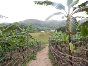Φωτογραφία από το άλμπουμ του Uganda Lodge σε Ruhanga