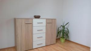 a wooden cabinet with drawers and a vase on top at Jeseník náměstí podkroví in Jeseník