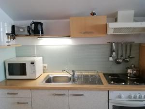 a kitchen with a sink and a microwave at Appartement Bruckberg in Zell am See