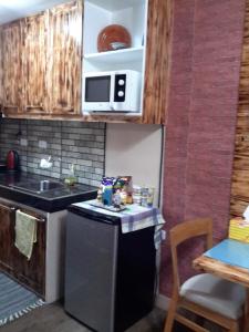 a small kitchen with a sink and a dishwasher at The Treehouse A @ Trees Residences in Manila
