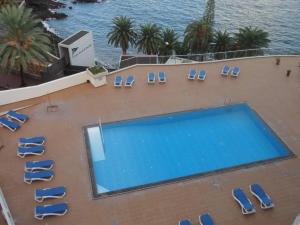 フンシャルにあるApartamento Funchal com Piscinaのスイミングプールとラウンジチェアの景色を望めます。