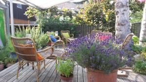Giardino di Hotel Alte Gärtnerei