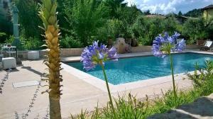 a swimming pool with purple flowers in front of it at B&B Posserle in Padenghe sul Garda