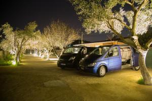 Ein Garten an der Unterkunft Apartments Tina FREE transfer from-to the airport