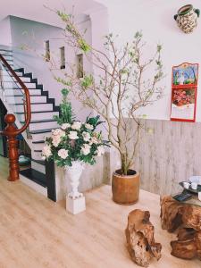 a living room with a tree in a vase and stairs at Hotel Khanh An in Phan Thiet