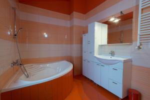 Kúpeľňa v ubytovaní Apartment Blaženka