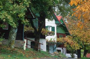 Zahrada ubytování Gasthof Hotel Zum Weinberg