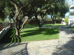 A garden outside Villa Riza