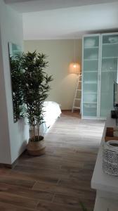 una camera da letto con una pianta in vaso su un pavimento in legno di Casa Ofelia a Levanto
