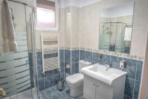 Koupelna v ubytování Hotel Elisabeta