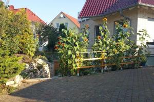 a house with a fence with sunflowers on it at Friedland - Groß Schneen GÖ 10 KM in Friedland