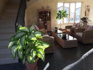 a living room with a potted plant in the middle at Borgo di Santa Barbara in Santa Domenica