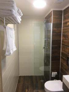 a bathroom with a glass shower and a toilet at Orbi Bakuriani Apartment in Bakuriani