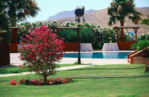 Bazén v ubytování Desusino Residence & Hotel nebo v jeho okolí