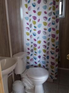 a bathroom with a toilet and a shower curtain at Casa Ananda in Punta de Choros