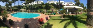 Sitio de CalahondaにあるMiraflores sea view studioの植物の植わる庭の大きなスイミングプール