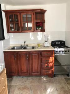 Küche/Küchenzeile in der Unterkunft Odonel Gomez Suite