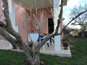 Zahrada ubytování Apartments Frakić