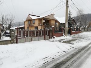 a house with a fence in the snow at Casa Lidia și Gogu in Budeasa Mare