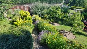 Ein Garten an der Unterkunft Panorama Apartment