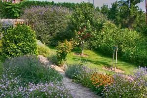 Ein Garten an der Unterkunft Panorama Apartment