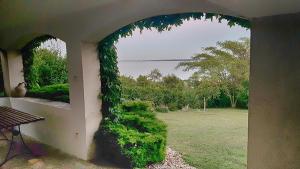 Ein Garten an der Unterkunft Panorama Apartment