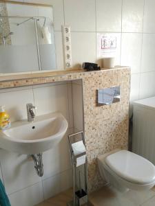 a bathroom with a sink and a toilet at Aaron - Privatunterkunft in Magdeburg