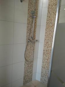 uma casa de banho com um chuveiro e uma porta de vidro em Aaron - Privatunterkunft em Magdeburg