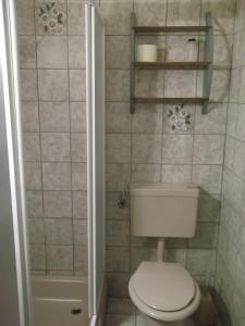 a small bathroom with a toilet and a shower at Pension Elisabeth in Sankt Kanzian