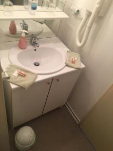 ein Badezimmer mit einem weißen Waschbecken und einem Spiegel in der Unterkunft Barnetche in Villefranque