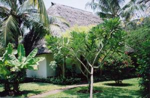 a house with palm trees in front of it at Les Datchi Cottages in Diani Beach