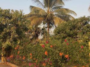 un palmier et des fleurs dans un jardin dans l'établissement Les Maisons De Marco SENEGAL - B&B, à Cap Skirring