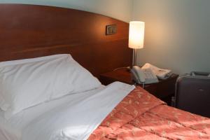 Voodi või voodid majutusasutuse Hotel La Cascata toas